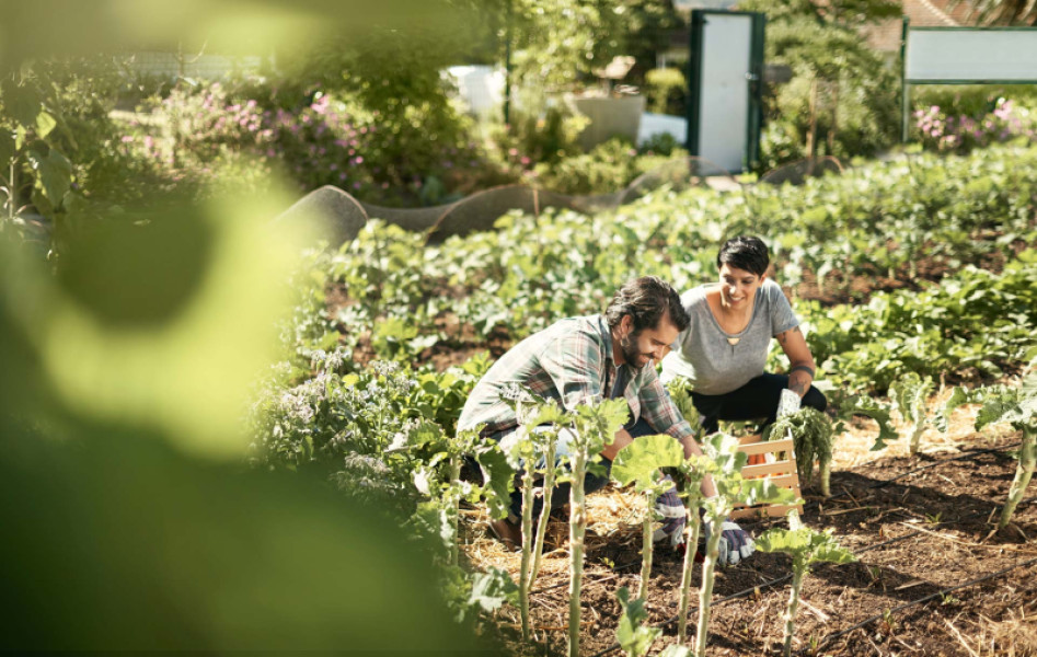exploitant-agricole-retraite-conjoint-collaborateur