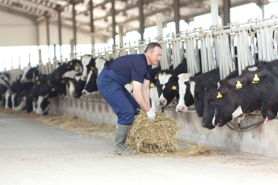 retraite-complementaire-exploitants-agricoles
