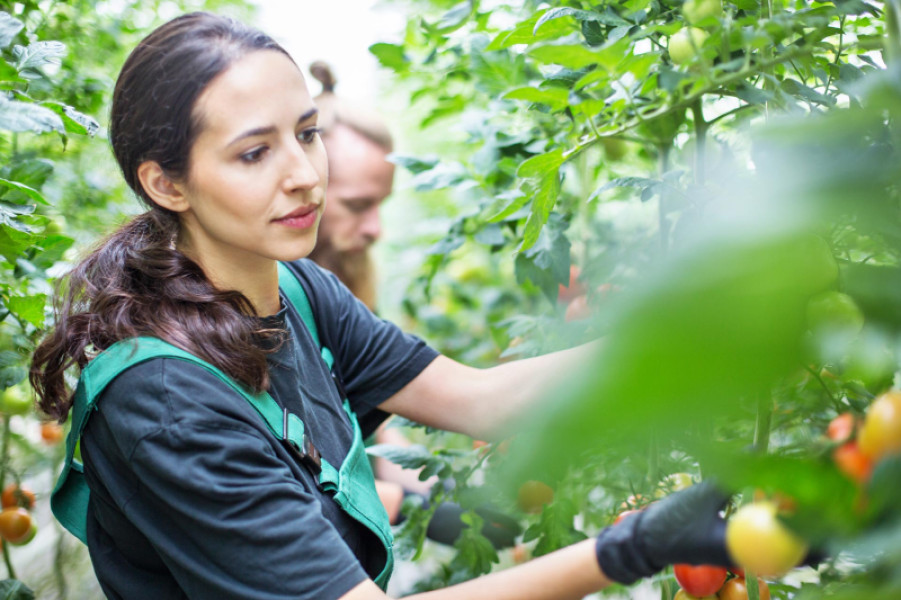 retraite-salaries-agricoles