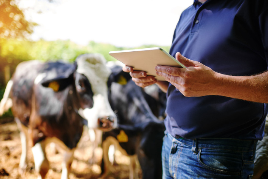 retraites-agriculteurs-dernieres-reformes-ont-change
