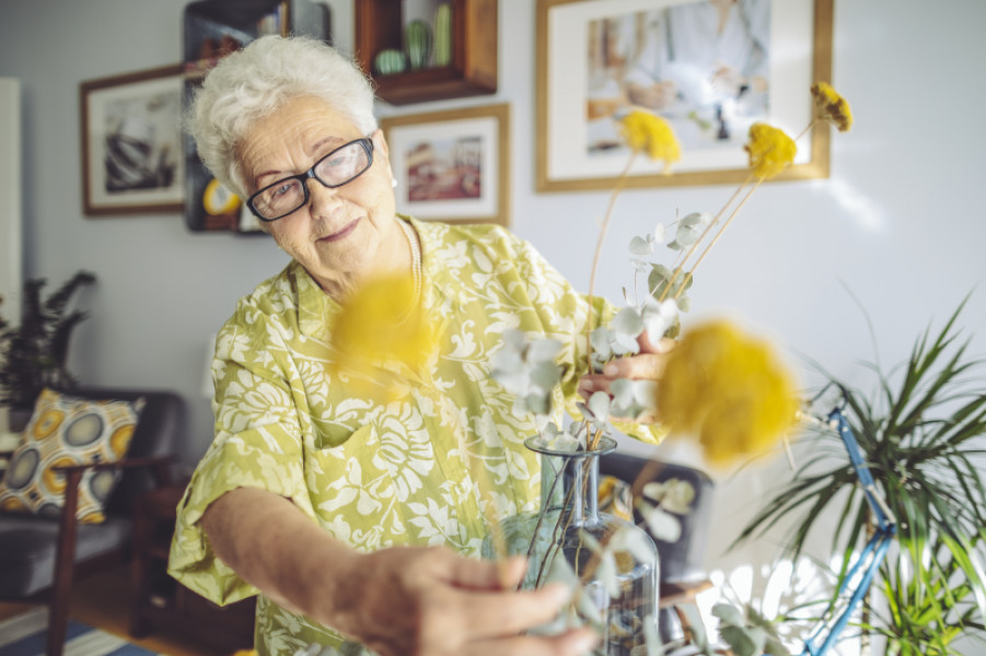 cumul-pension-retraite-cesu