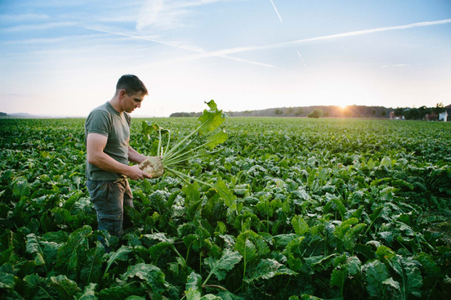 completer-retraite-agriculteur
