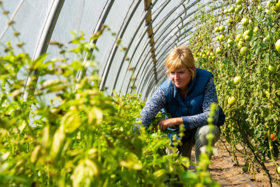 demander-retraite-agriculteur
